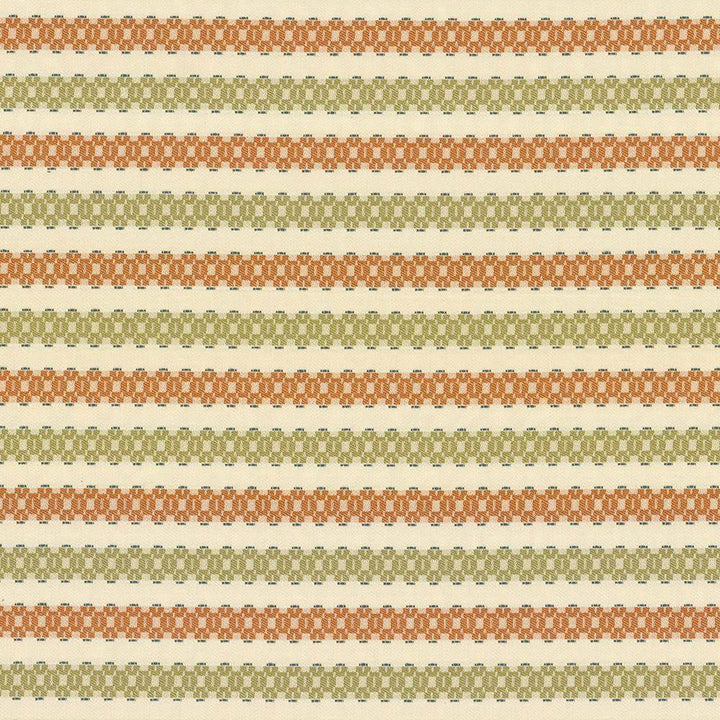 Cognitive Mango by Kasmir Fabric 1423 60% Cotton 27% Rayon 13% Polyester USA 48,000 Wyzenbeek Double Rubs H: 5/8 inches, V:3 2/8 inches 58 - 59 - Fabric Carolina - Kasmir