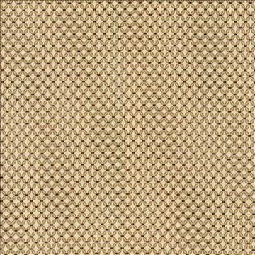 Colville Ochre by Kasmir Fabric 5086 62% Rayon 38% Polyester CHINA 3,000 Wyzenbeek Double Rubs H: 6/8 inches, V: 7/8 inches 54 - Fabric Carolina - Kasmir