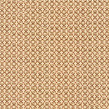 Colville Pumpkin by Kasmir Fabric 5086 62% Rayon 38% Polyester CHINA 3,000 Wyzenbeek Double Rubs H: 6/8 inches, V: 7/8 inches 54 - Fabric Carolina - Kasmir