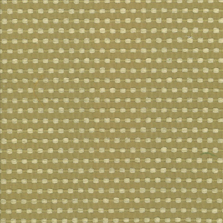 Come And Go Sprout by Kasmir Fabric 5074 100% Polyester CHINA 27,000 Wyzenbeek Double Rubs Horizontal: 4/8 inches and Vertical: 1 inches 56 - Fabric Carolina -
