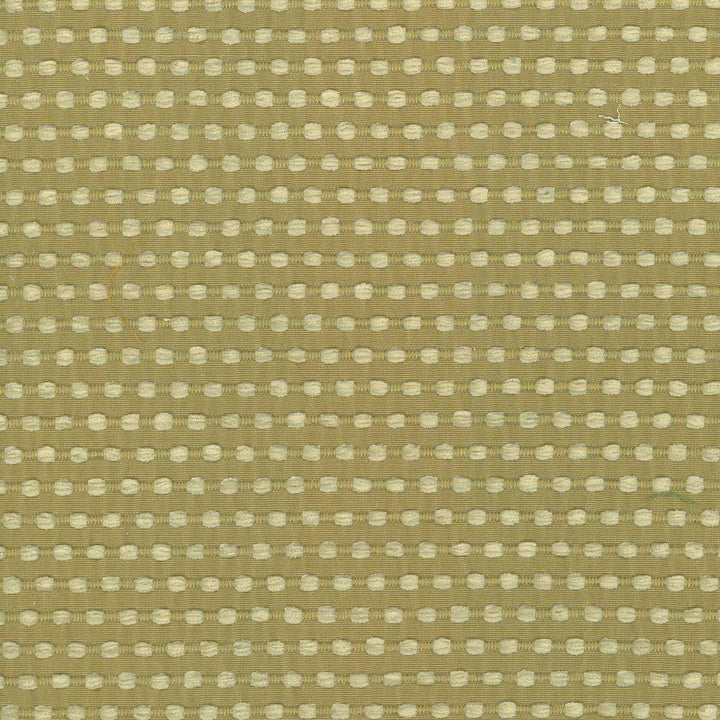 Come And Go Sprout by Kasmir Fabric 5074 100% Polyester CHINA 27,000 Wyzenbeek Double Rubs H: 4/8 inches, V:1 inches 56 - Fabric Carolina - Kasmir