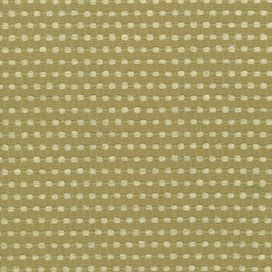 Come And Go Sprout by Kasmir Fabric