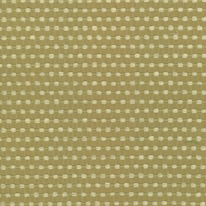 Come And Go Sprout by Kasmir Fabric 5074 100% Polyester
 CHINA </p><p>Repeat: Horizontal: 4/8 inches and Vertical: 1 inches 56 - Fabric Carolina -