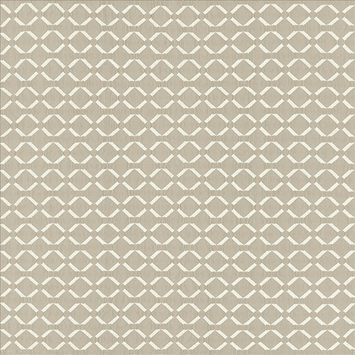 Community Cloud by Kasmir Fabric 5141 72% Polyester
28% Cotton
 INDIA </p><p>Repeat: Horizontal: 1 3/8 inches and Vertical: 1 2/8 inches 54 - Fabric Carolina -