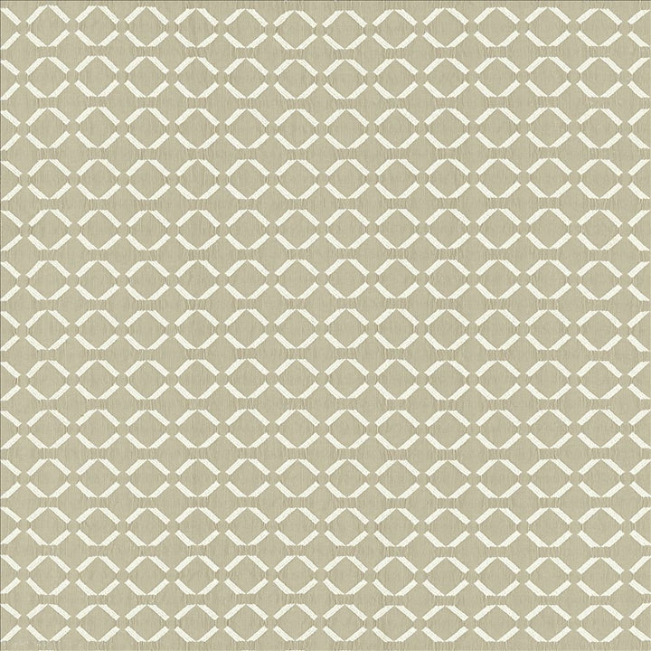 Community Cloud by Kasmir Fabric 5141 72% Polyester
28% Cotton
 INDIA Not Tested Horizontal: 1 3/8 inches and Vertical: 1 2/8 inches 54 - Fabric Carolina -