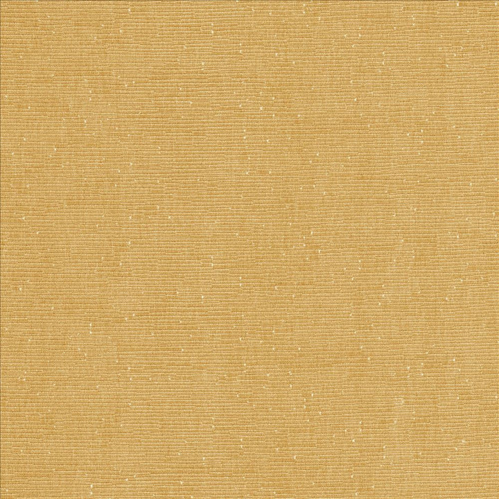 Como Bramble by Kasmir Fabric 5116 51% Cotton
49% Polyester
 TAIWAN 30,000 Wyzenbeek Double Rubs </p><p>Repeat: Horizontal: N/A and Vertical: N/A 54 - Fabric Carolina -