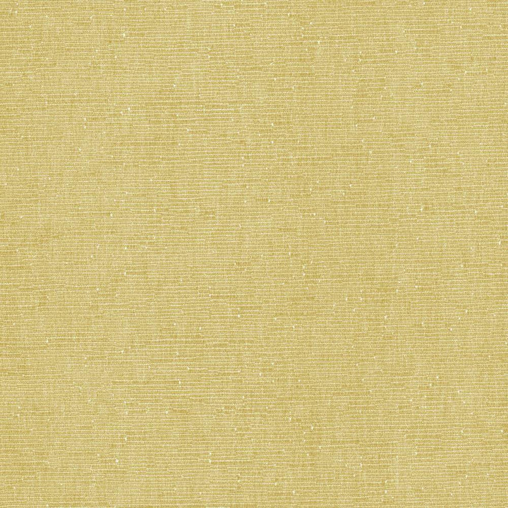 Como Sandstone by Kasmir Fabric 5116 51% Cotton
49% Polyester
 TAIWAN </p><p>Repeat: Horizontal: N/A and Vertical: N/A 54 - 55 - Fabric Carolina -