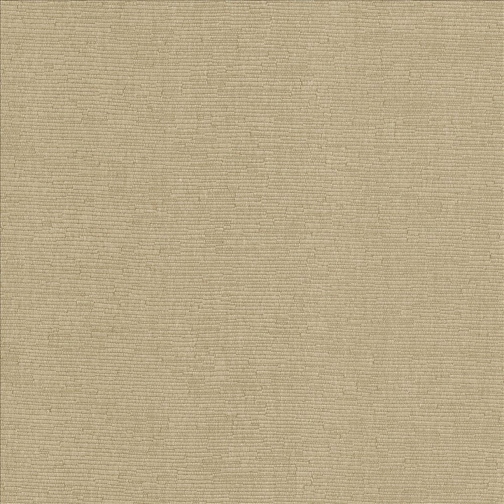 Como Taupe by Kasmir Fabric 5116 51% Cotton
49% Polyester
 TAIWAN 30,000 Wyzenbeek Double Rubs Horizontal: N/A and Vertical: N/A 54 - Fabric Carolina -