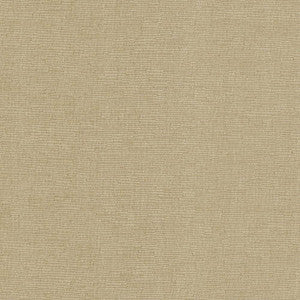Como Taupe by Kasmir Fabric