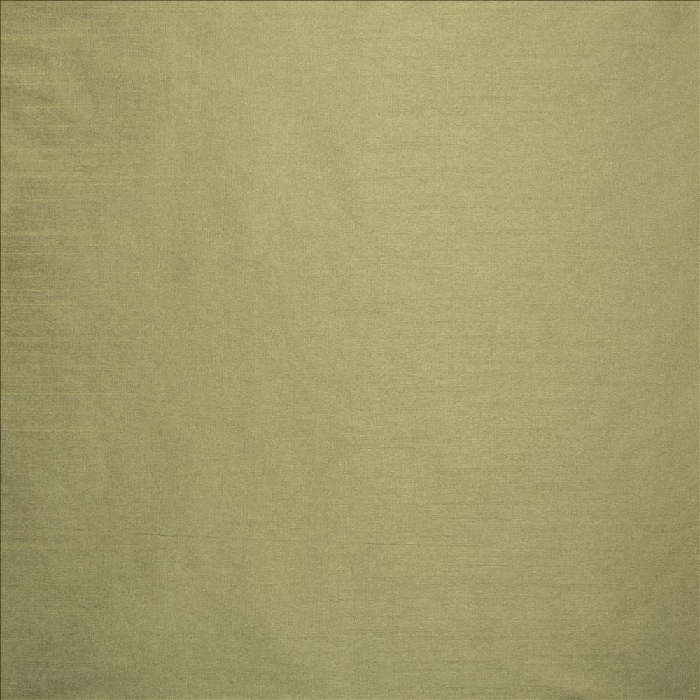 Complementary Aloe by Kasmir Fabric 5168 100% Polyester
 INDIA Not Tested Horizontal: N/A and Vertical: N/A 54 - Fabric Carolina -