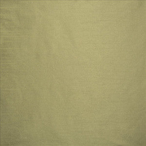 Complementary Aloe by Kasmir Fabric