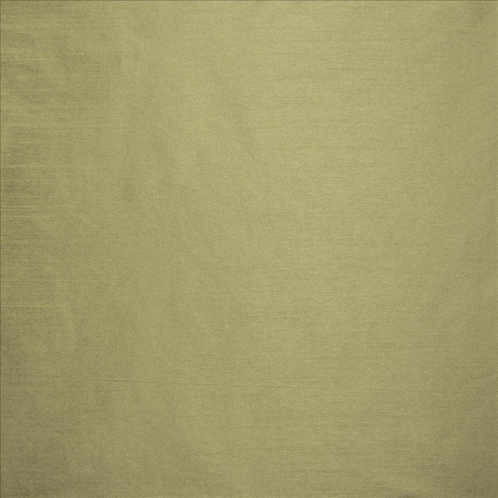 Complementary Aloe by Kasmir Fabric 5168 100% Polyester
 INDIA Not Tested </p><p>Repeat: Horizontal: N/A and Vertical: N/A 54 - Fabric Carolina -