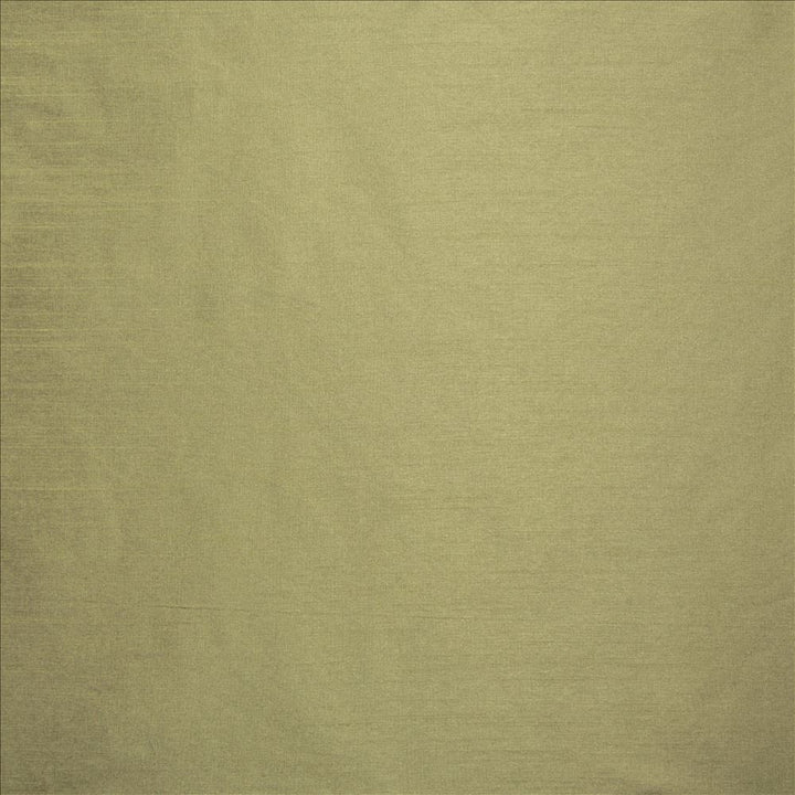 Complementary Aloe by Kasmir Fabric 5168 100% Polyester
 INDIA Not Tested </p><p>Repeat: Horizontal: N/A and Vertical: N/A 54 - Fabric Carolina -