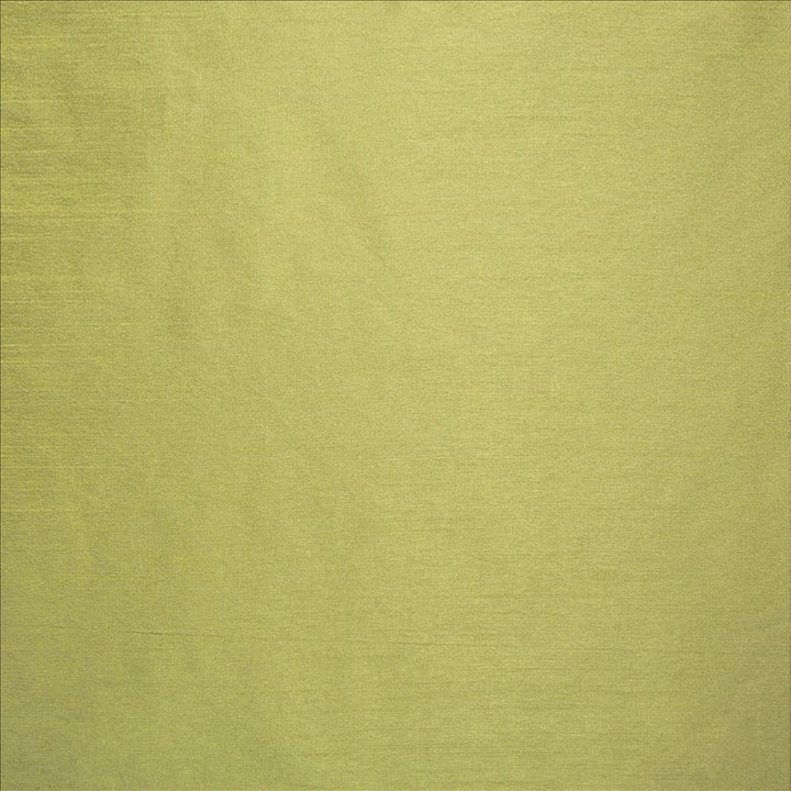 Complementary Apple by Kasmir Fabric 5168 100% Polyester
 INDIA Not Tested </p><p>Repeat: Horizontal: N/A and Vertical: N/A 54 - Fabric Carolina -