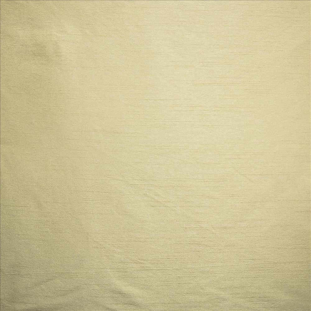 Complementary Birch by Kasmir Fabric 5168 100% Polyester
 INDIA Not Tested </p><p>Repeat: Horizontal: N/A and Vertical: N/A 54 - Fabric Carolina -