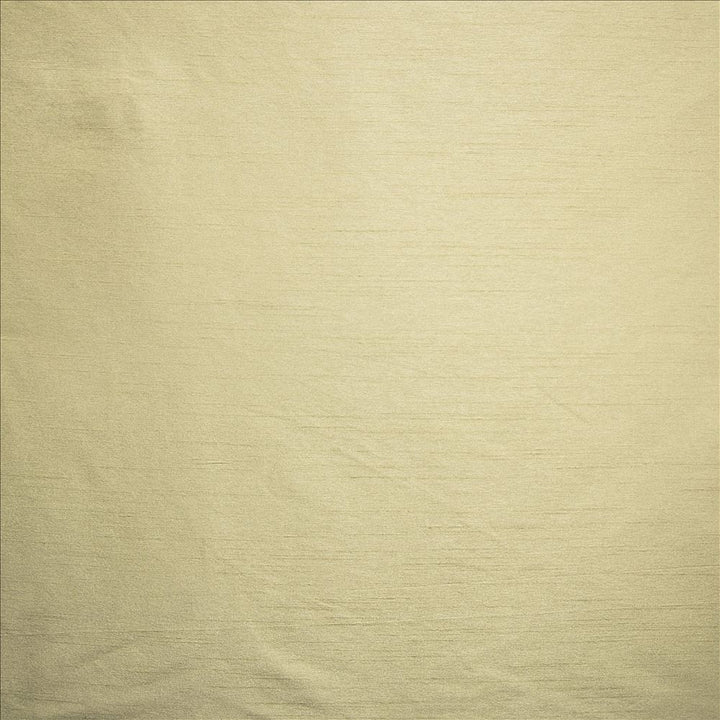 Complementary Birch by Kasmir Fabric 5168 100% Polyester
 INDIA Not Tested </p><p>Repeat: Horizontal: N/A and Vertical: N/A 54 - Fabric Carolina -