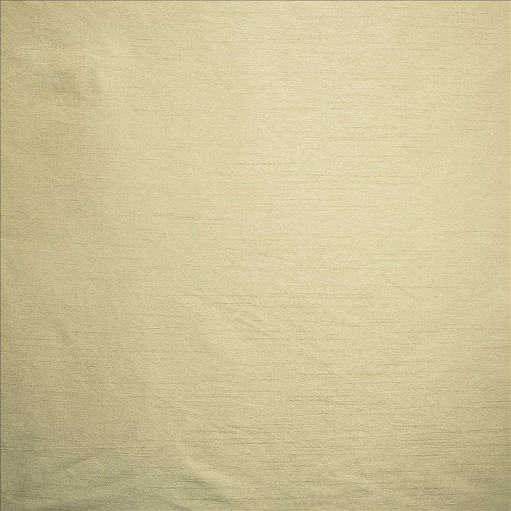 Complementary Birch by Kasmir Fabric 5168 100% Polyester
 INDIA </p><p>Repeat: Horizontal: N/A and Vertical: N/A 54 - Fabric Carolina -