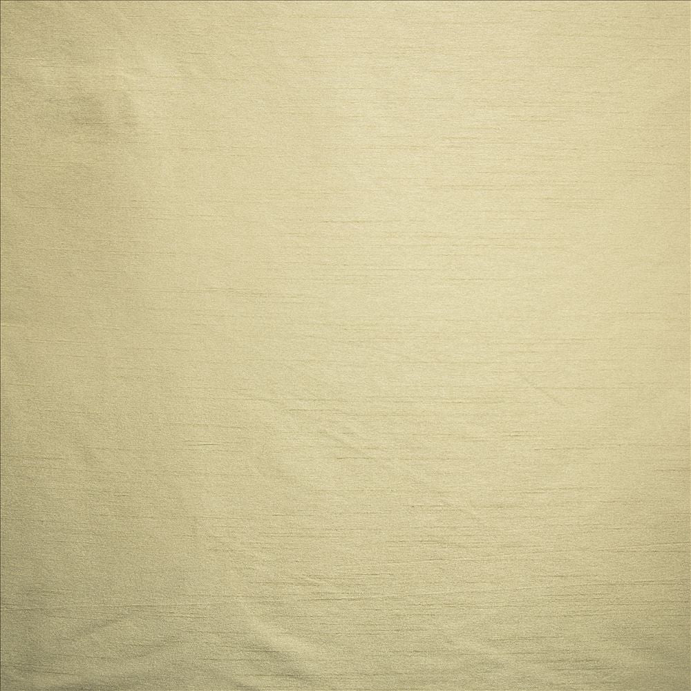 Complementary Birch by Kasmir Fabric 5168 100% Polyester
 INDIA </p><p>Repeat: Horizontal: N/A and Vertical: N/A 54 - Fabric Carolina -