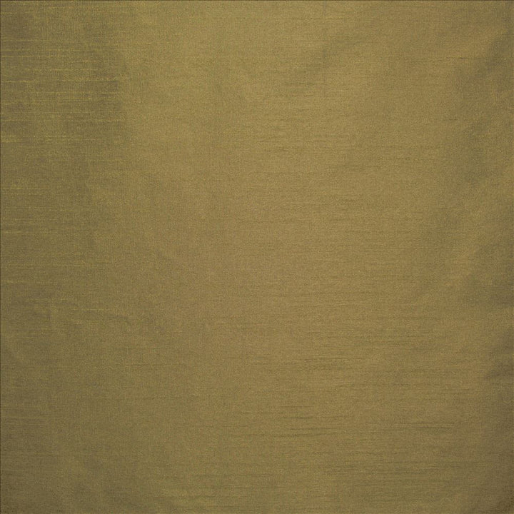 Complementary Brass by Kasmir Fabric 5168 100% Polyester
 INDIA Not Tested </p><p>Repeat: Horizontal: N/A and Vertical: N/A 54 - Fabric Carolina -