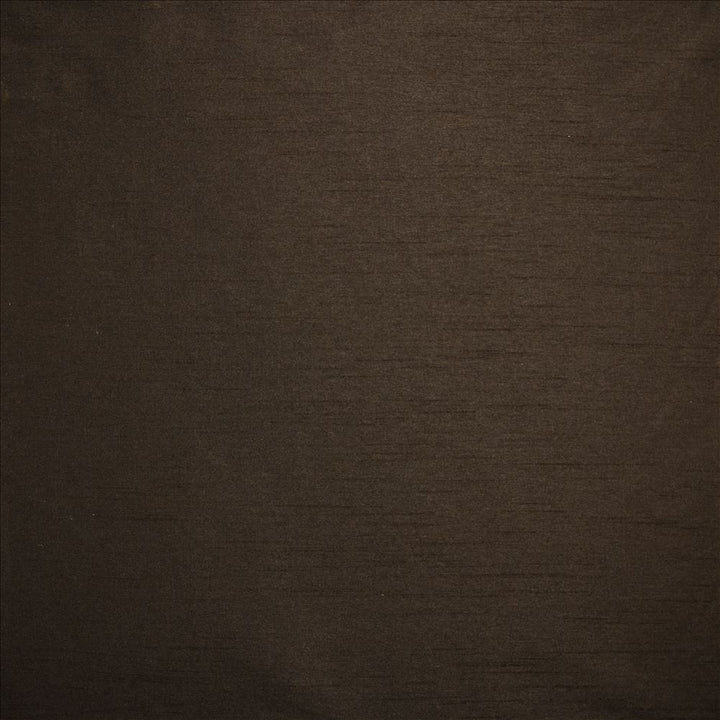 Complementary Brown by Kasmir Fabric 5168 100% Polyester
 INDIA </p><p>Repeat: Horizontal: N/A and Vertical: N/A 54 - Fabric Carolina -