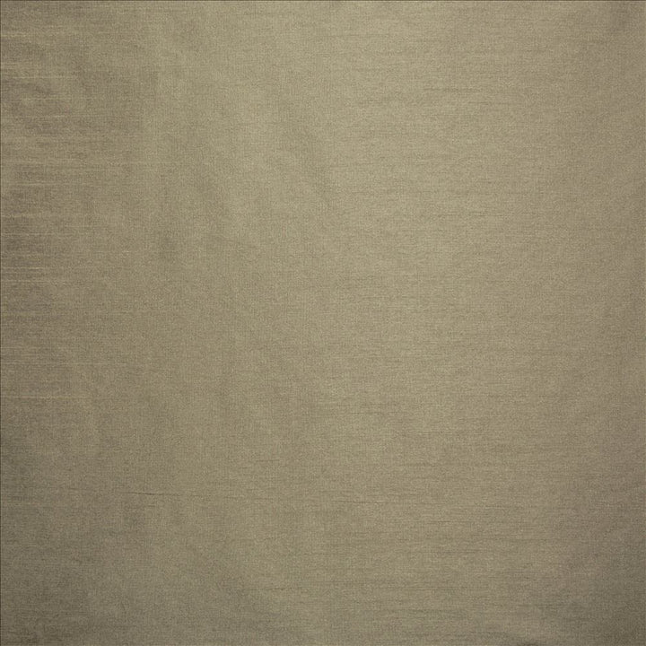 Complementary Cement by Kasmir Fabric 5168 100% Polyester
 INDIA Not Tested </p><p>Repeat: Horizontal: N/A and Vertical: N/A 54 - Fabric Carolina -