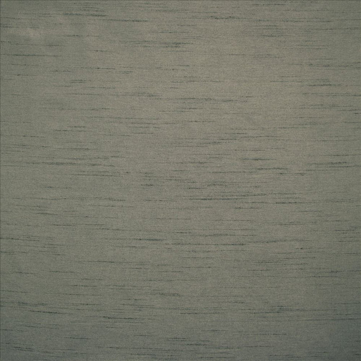 Complementary Charcoal by Kasmir Fabric 5168 100% Polyester
 INDIA Not Tested </p><p>Repeat: Horizontal: N/A and Vertical: N/A 54 - Fabric Carolina -