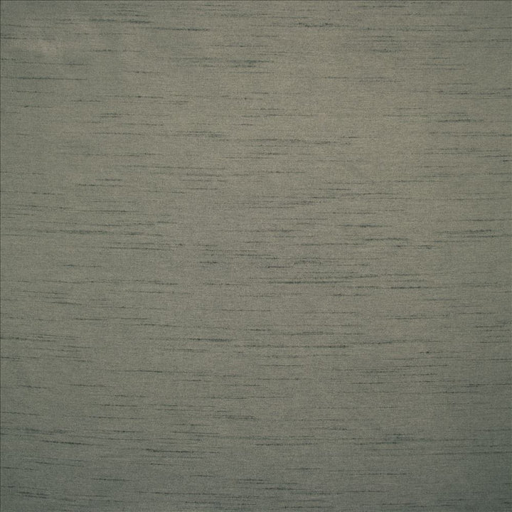 Complementary Charcoal  by Kasmir Fabric See sample 100% Polyester
 INDIA Not Tested </p><p>Repeat: Horizontal: N/A and Vertical: N/A 54  - Fabric Carolina -