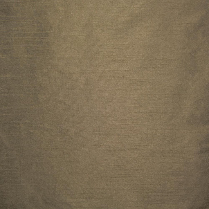 Complementary Chestnut by Kasmir Fabric 5168 100% Polyester
 INDIA </p><p>Repeat: Horizontal: N/A and Vertical: N/A 54 - Fabric Carolina -