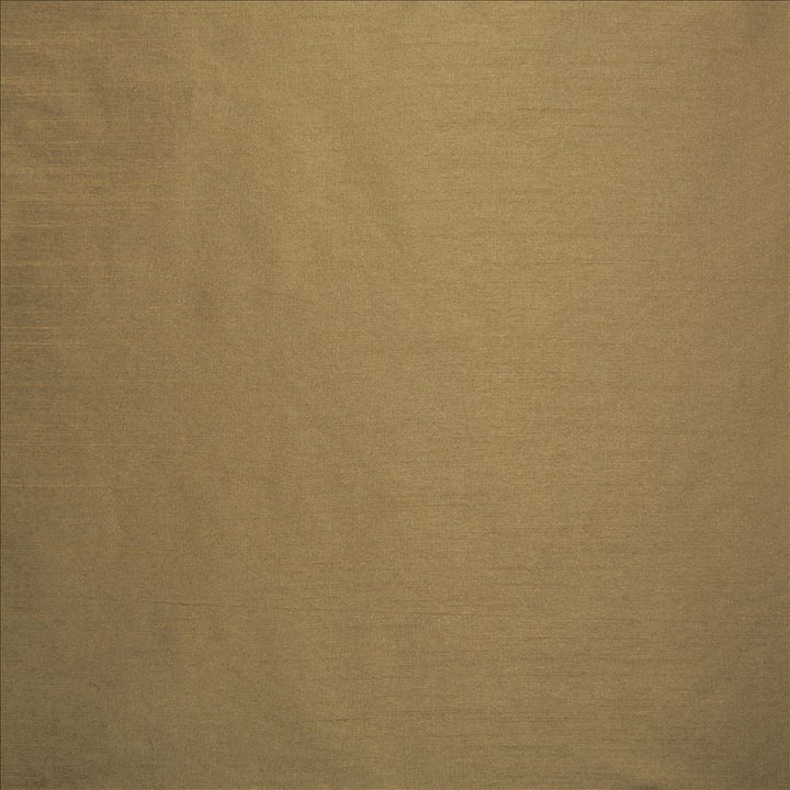 Complementary Dark Beige by Kasmir Fabric 5168 100% Polyester
 INDIA Not Tested </p><p>Repeat: Horizontal: N/A and Vertical: N/A 54 - Fabric Carolina -