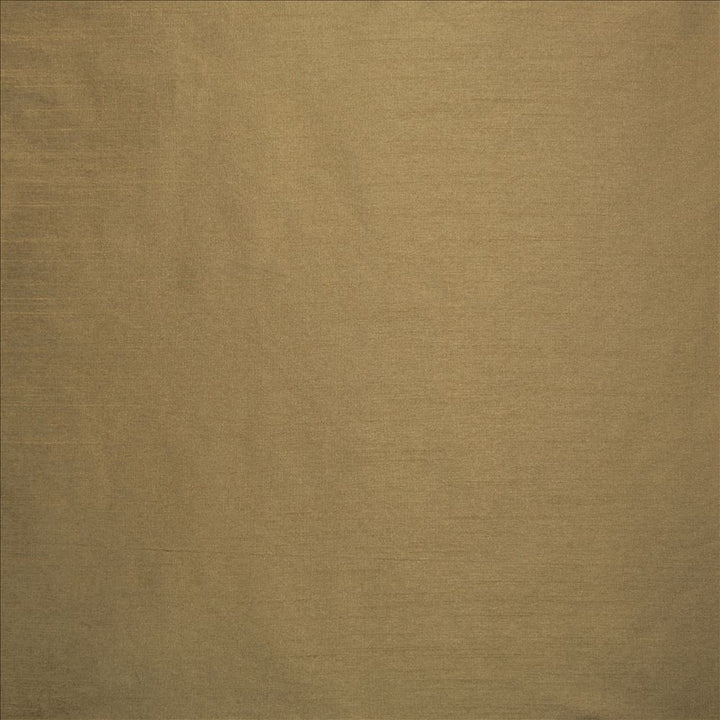 Complementary Dark Beige by Kasmir Fabric 5168 100% Polyester
 INDIA Not Tested Horizontal: N/A and Vertical: N/A 54 - Fabric Carolina -