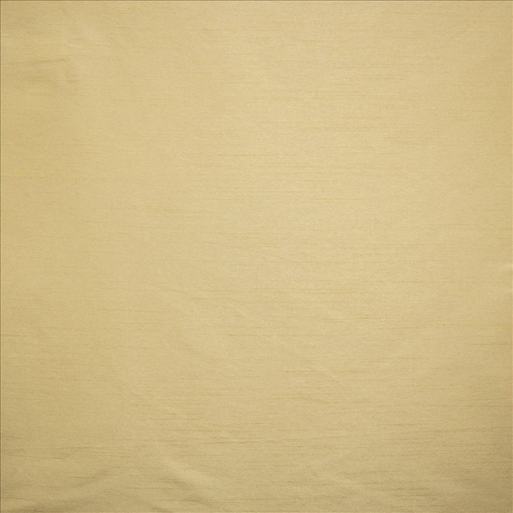 Complementary Driftwood by Kasmir Fabric 5168 100% Polyester
 INDIA Not Tested </p><p>Repeat: Horizontal: N/A and Vertical: N/A 54 - Fabric Carolina -