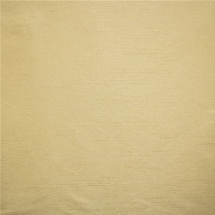 Complementary Driftwood by Kasmir Fabric 5168 100% Polyester
 INDIA </p><p>Repeat: Horizontal: N/A and Vertical: N/A 54 - Fabric Carolina -