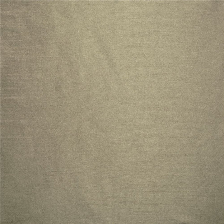 Complementary Fog  by Kasmir Fabric See sample 100% Polyester
 INDIA Not Tested </p><p>Repeat: Horizontal: N/A and Vertical: N/A 54  - Fabric Carolina -