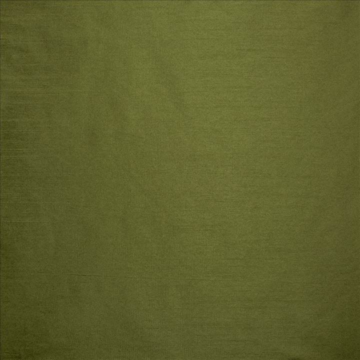 Complementary Grass  by Kasmir Fabric See sample 100% Polyester
 INDIA Not Tested </p><p>Repeat: Horizontal: N/A and Vertical: N/A 54  - Fabric Carolina -