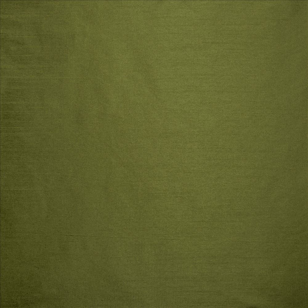 Complementary Grass by Kasmir Fabric 5168 100% Polyester
 INDIA Not Tested </p><p>Repeat: Horizontal: N/A and Vertical: N/A 54 - Fabric Carolina -