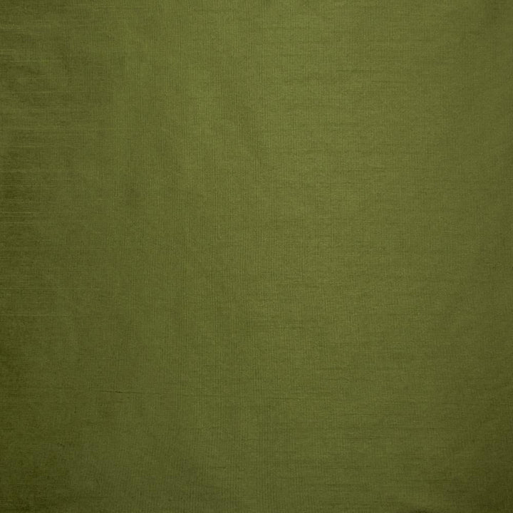 Complementary Grass by Kasmir Fabric 5168 100% Polyester
 INDIA </p><p>Repeat: Horizontal: N/A and Vertical: N/A 54 - Fabric Carolina -