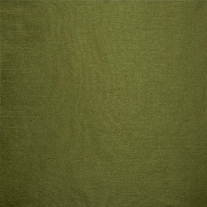 Complementary Grass by Kasmir Fabric 5168 100% Polyester
 INDIA Not Tested </p><p>Repeat: Horizontal: N/A and Vertical: N/A 54 - Fabric Carolina -