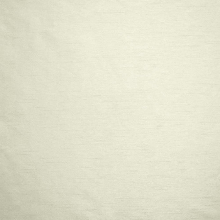 Complementary Ivory by Kasmir Fabric 5168 100% Polyester
 INDIA </p><p>Repeat: Horizontal: N/A and Vertical: N/A 54 - Fabric Carolina -