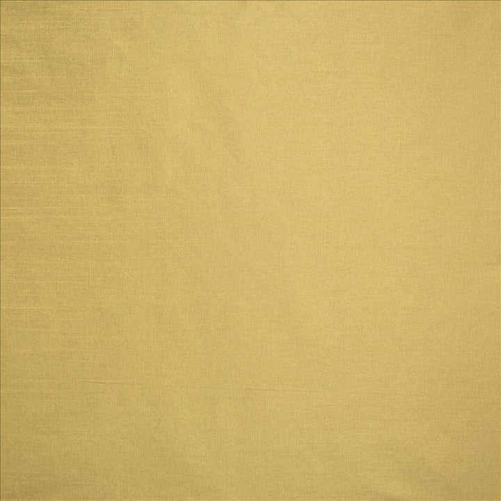 Complementary Latte  by Kasmir Fabric See sample 100% Polyester
 INDIA Not Tested </p><p>Repeat: Horizontal: N/A and Vertical: N/A 54  - Fabric Carolina -