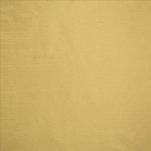 Complementary Latte by Kasmir Fabric