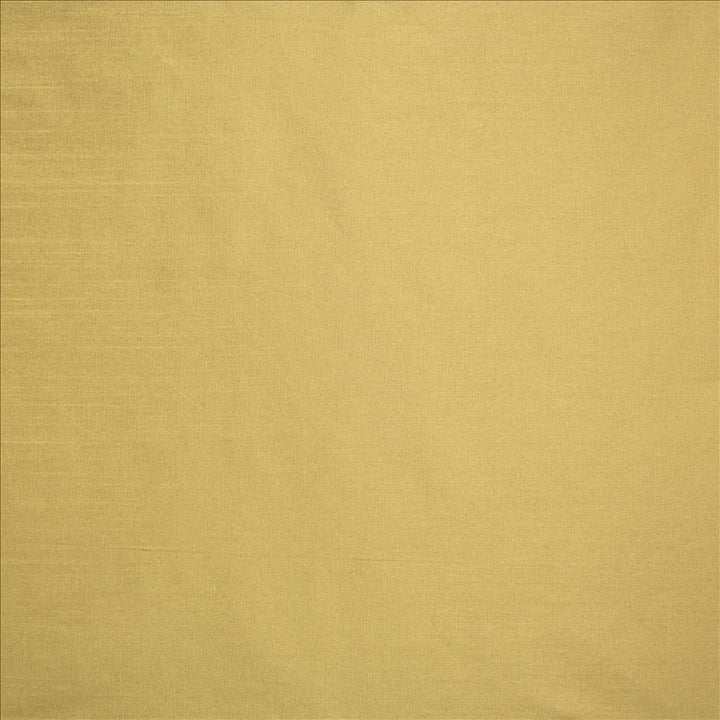 Complementary Latte by Kasmir Fabric 5168 100% Polyester
 INDIA Not Tested </p><p>Repeat: Horizontal: N/A and Vertical: N/A 54 - Fabric Carolina -