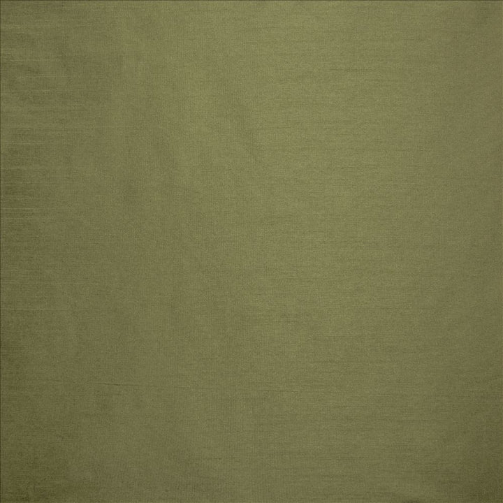 Complementary Lichen by Kasmir Fabric 5168 100% Polyester
 INDIA Not Tested Horizontal: N/A and Vertical: N/A 54 - Fabric Carolina -