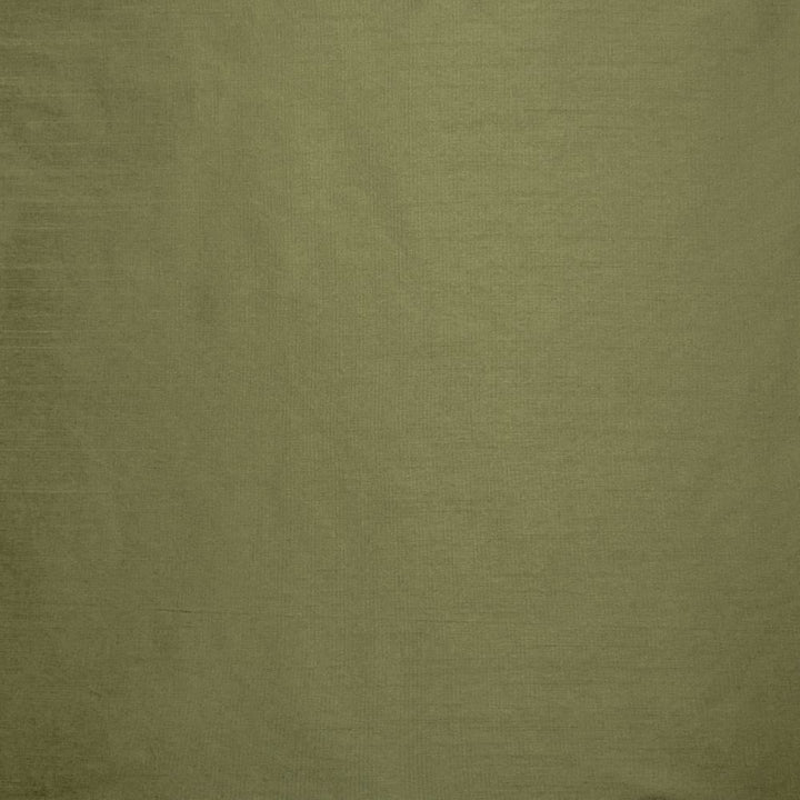 Complementary Lichen by Kasmir Fabric 5168 100% Polyester
 INDIA </p><p>Repeat: Horizontal: N/A and Vertical: N/A 54 - Fabric Carolina -