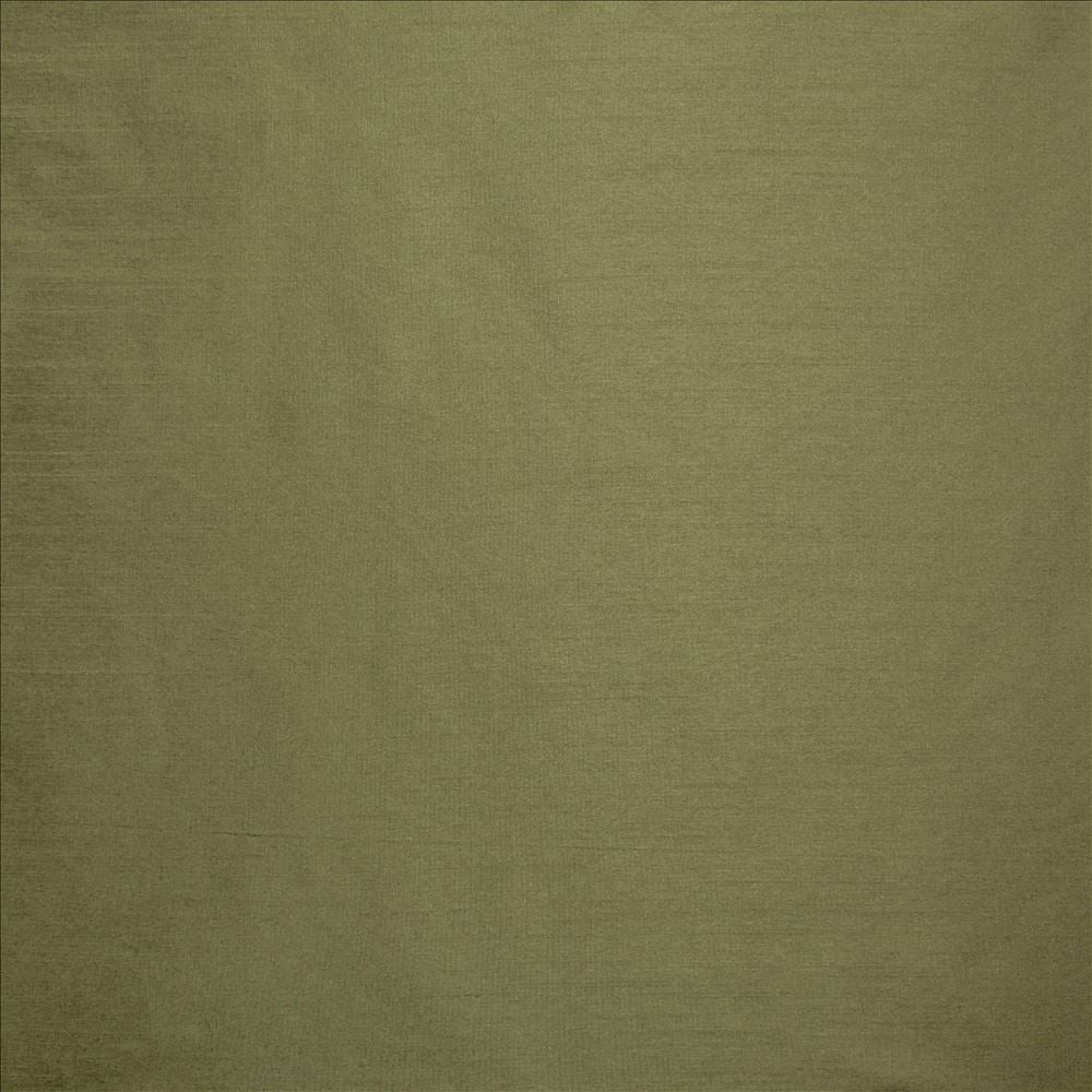 Complementary Lichen by Kasmir Fabric 5168 100% Polyester
 INDIA Not Tested </p><p>Repeat: Horizontal: N/A and Vertical: N/A 54 - Fabric Carolina -