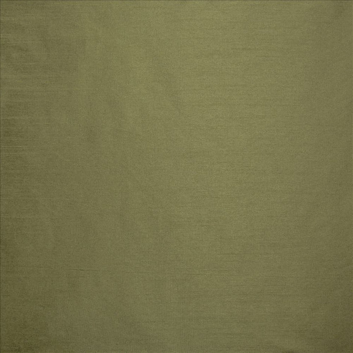 Complementary Lichen by Kasmir Fabric 5168 100% Polyester
 INDIA Not Tested </p><p>Repeat: Horizontal: N/A and Vertical: N/A 54 - Fabric Carolina -