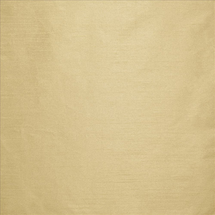 Complementary Manila by Kasmir Fabric 5168 100% Polyester
 INDIA Not Tested </p><p>Repeat: Horizontal: N/A and Vertical: N/A 54 - Fabric Carolina -