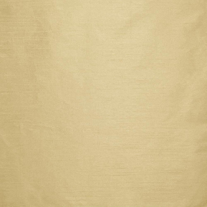 Complementary Manila by Kasmir Fabric 5168 100% Polyester
 INDIA </p><p>Repeat: Horizontal: N/A and Vertical: N/A 54 - Fabric Carolina -