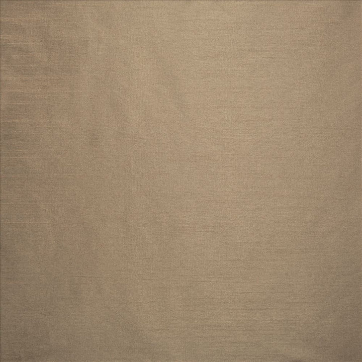 Complementary Mink by Kasmir Fabric 5168 100% Polyester
 INDIA </p><p>Repeat: Horizontal: N/A and Vertical: N/A 54 - Fabric Carolina -