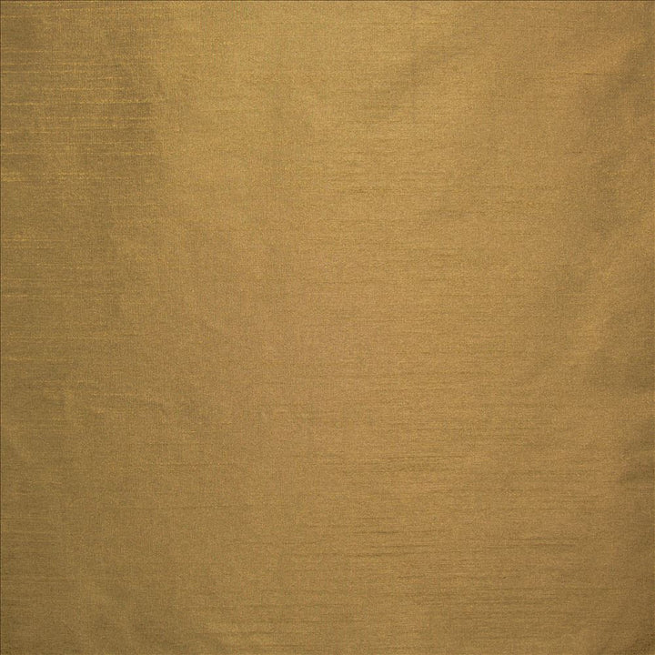 Complementary Nugget  by Kasmir Fabric See sample 100% Polyester
 INDIA Not Tested </p><p>Repeat: Horizontal: N/A and Vertical: N/A 54  - Fabric Carolina -
