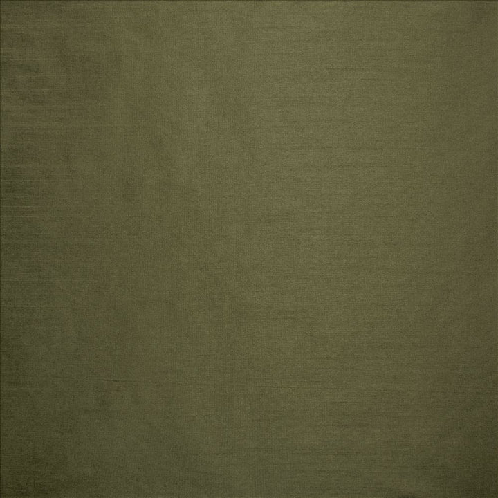 Complementary Pine by Kasmir Fabric 5168 100% Polyester
 INDIA </p><p>Repeat: Horizontal: N/A and Vertical: N/A 54 - Fabric Carolina -